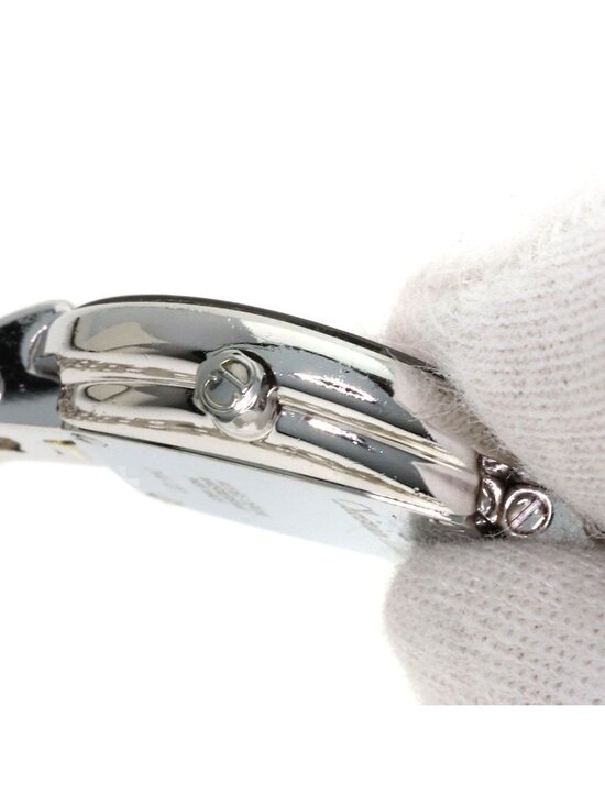 Dior Bagheera Watch SS main image 4
